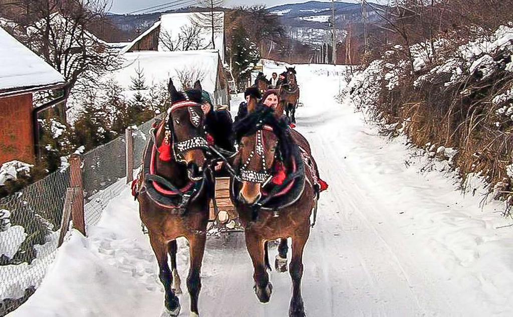 Wloczykija Jamna